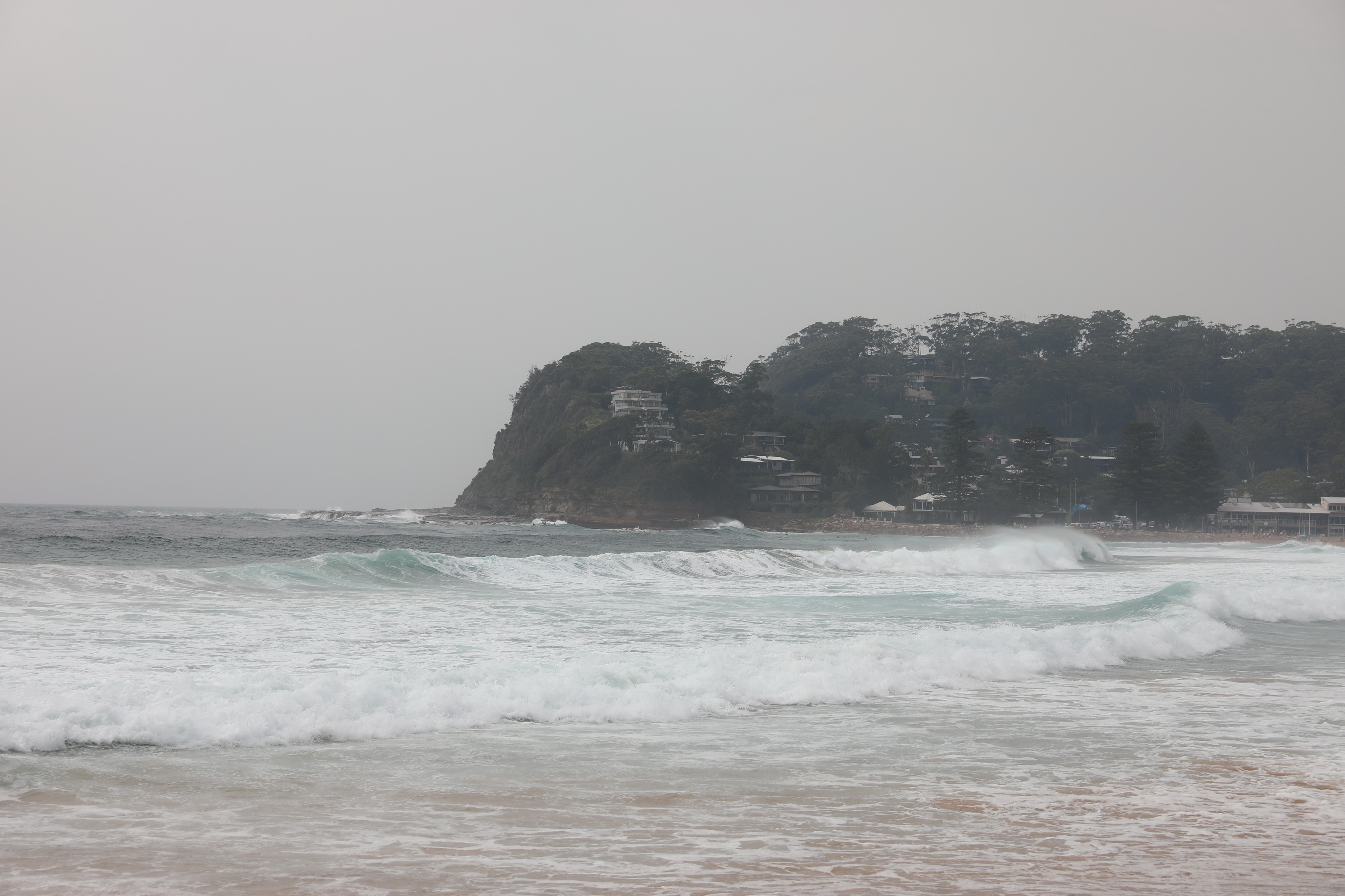 Avoca Beach